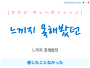 韓国語で表現 느끼지 못해봤던 [ヌキジ モッヘボァットン] 感じたことなかった 歌詞で勉強