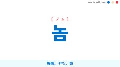 韓国語単語勉強 놈 [ノム] 野郎、ヤツ、奴 意味・活用・読み方と音声発音