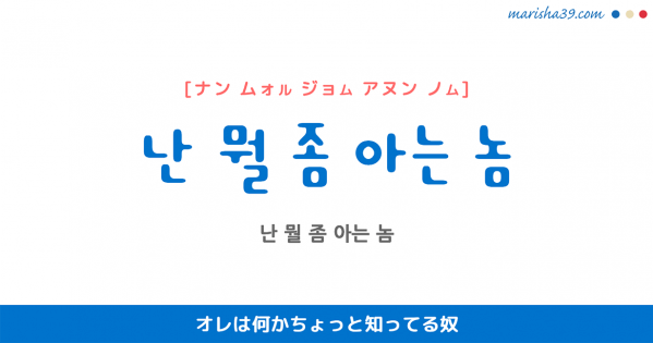 韓国語表現を歌詞で勉強【난 뭘 좀 아는 놈】とは？オレは何かちょっと知ってる奴 [ナン ムォル ジョム アヌン ノム]