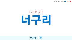 韓国語ハングル 너구리 [ノグリ] タヌキ、狸（たぬき） 意味・活用・表現例と音声発音