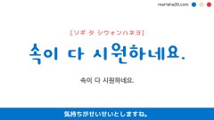 韓国語ハングルフレーズ音声 속이 다 시원하네요. 気持ちがせいせいとしますね。