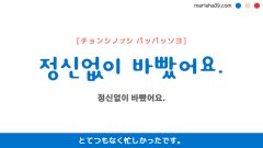 韓国語ハングルフレーズ音声 정신없이 바빴어요. とてつもなく忙しかったです。