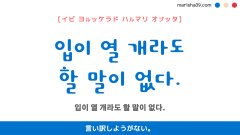 韓国語ハングルフレーズ音声 입이 열 개라도 할 말이 없다. 言い訳しようがない。