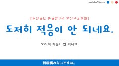 韓国語ハングルフレーズ音声 도저히 적응이 안 되네요. 到底慣れないですね。