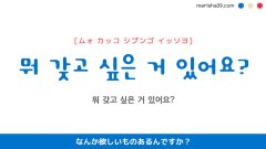 韓国語ハングルフレーズ音声 뭐 갖고 싶은 거 있어요? なんか欲しいものありますか? なんか欲しいものあるんですか?