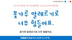 韓国語ハングルフレーズ音声 꽃가루 알레르기로 너무 힘들어요. 花粉症であまりにもきついです。