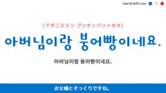 韓国語ハングルフレーズ音声 아버님이랑 붕어빵이네요. お父様とそっくりですね。