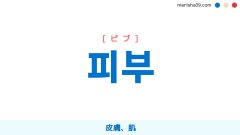 韓国語ハングル 피부 [ピブ] 皮膚、肌 意味・活用・読み方と音声発音