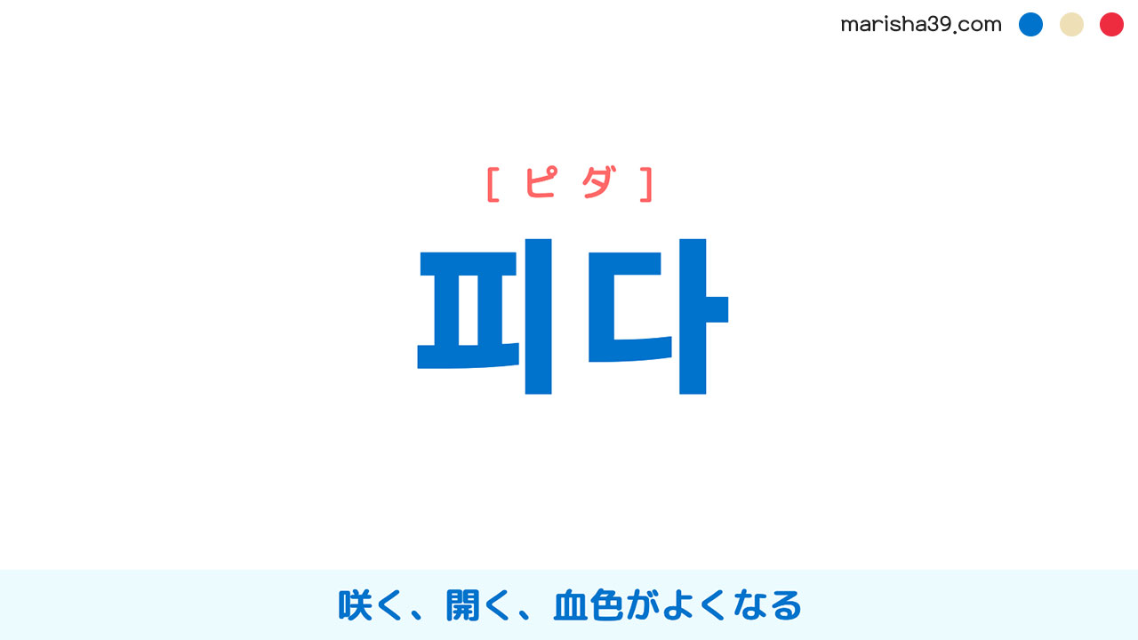 韓国語単語勉強 피다 [ピダ] 咲く、開く、血色がよくなる 意味・活用・読み方と音声発音