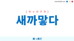 韓国語ハングル 새까맣다 [セッカマタ] 真っ黒だ 意味・活用・読み方と音声発音
