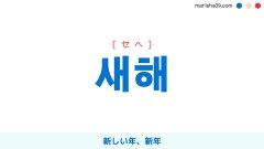 韓国語ハングル 새해 [セヘ] 新しい年、新年 意味・活用・表現例と音声発音