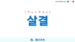 韓国語ハングル 살결 [サルッキョル] 肌、肌のきめ 意味・活用・読み方と音声発音
