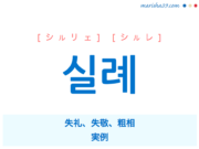 韓国語単語・ハングル 실례 [シルリェ] [シルレ] 失礼、失敬、粗相、実例 意味・活用・読み方と音声発音