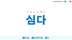 韓国語ハングル 심다 [シムッタ] 植える、植え付ける、蒔く 意味・活用・表現例と音声発音