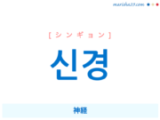 韓国語単語・ハングル 신경 [シンギョン] 神経 意味・活用・読み方と音声発音