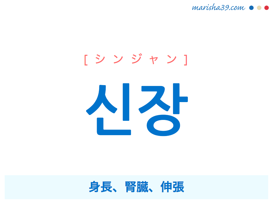 韓国語単語 신장 シンジャン 身長 腎臓 伸張 意味 活用 読み方と音声発音 韓国語勉強marisha