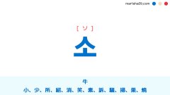 韓国語単語 ハングル 우 ウ 雨 右 右側 友 牛 郵 優 宇 偶 意味 活用 読み方と音声発音 韓国語勉強marisha