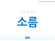 韓国語単語・ハングル 소름 [ソルム] 鳥肌 意味・活用・読み方と音声発音