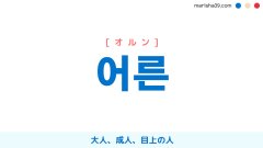 韓国語単語勉強 어른 [オルン] 大人、成人、目上の人 意味・活用・読み方と音声発音