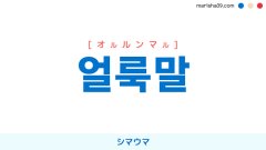 韓国語ハングル 얼룩말 [オルルンマル] 縞馬（しまうま）、シマウマ 意味・活用・表現例と音声発音