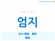 韓国語・ハングル 엄지 [オムジ] 엄지=嚴旨、厳旨、親指 意味・活用・読み方と音声発音