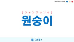 韓国語ハングル 원숭이 [ウォンスゥンイ] 猿（さる） 意味・活用・表現例と音声発音