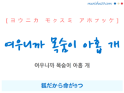 韓国語で表現 여우니까 목숨이 아홉 개 [ヨウニカ モクスミ アホプッケ] 狐だから命が9つ 歌詞で勉強